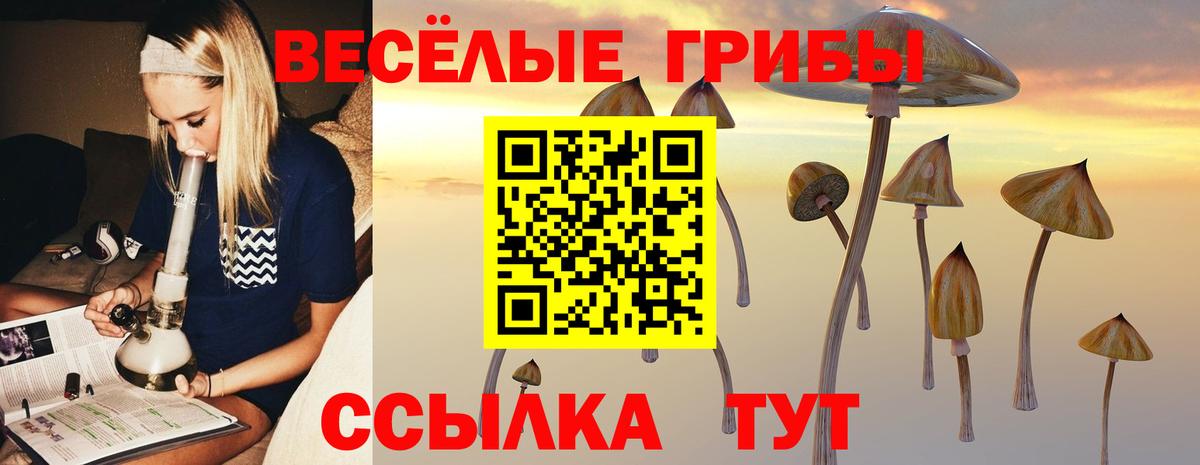 Электросталь  Псилоцибиновые грибы GOLDEN TEACHER  Галлюциногенные грибы GOLDEN TEACHER  Вход с VPN 